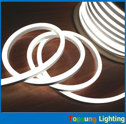 220v/110v/24v luz de cuerda LED 10*18mm rgb neon luz flexible con precio inferior
