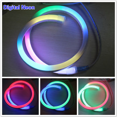 24v de luz digital dinámica flexible de neón LED colorida para la venta