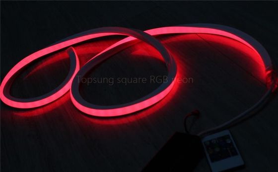 Increíble cuadrado rojo de 127 voltios flexible LED de neón 16 * 16mspool