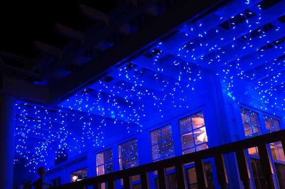 Venta caliente LED 110V luces de Navidad resistente al agua luces de hielo al aire libre para edificios