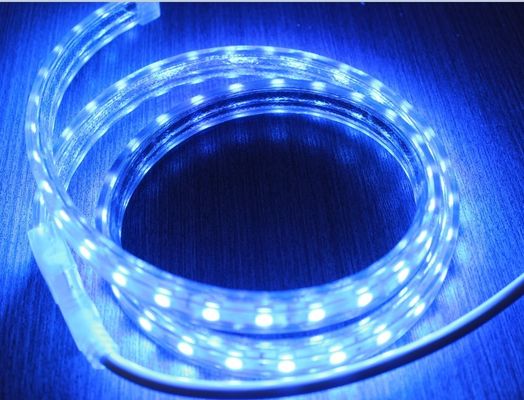 5050 luces de banda AC 220V 60LED/M iluminación azul