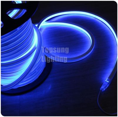 Nuevo diseño azul cuadrado 16*16m 220v luz flexible cuadrada LED de neón flex