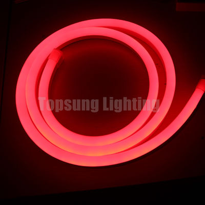 Magic RGB LED luces de neón 24V luces de Navidad digitales flexible LED tubo de neón