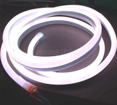 luz de cuerda de neón LED de corte personalizado de 240v 14*26mm luces de neón digitales