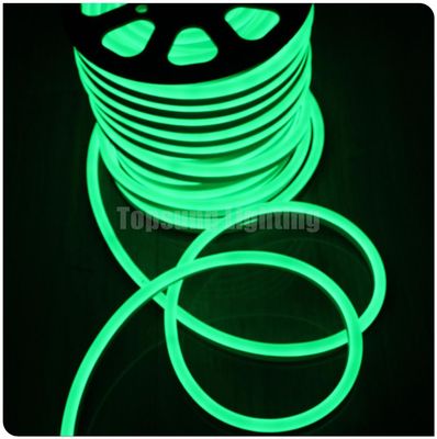 SMD 2835 luz de neón LED 12V cuerda flexible exterior resistente al agua luz de neón LED de banda verde