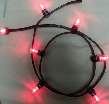 12v de baja potencia luz de clip LED 100m / rollo luces de Navidad led cadena luces de arroz rojo 666 bombillas