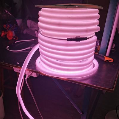 Luzes de cuerda LED rgb de 24 V 360 neonflex 20 mm con dia rgbw