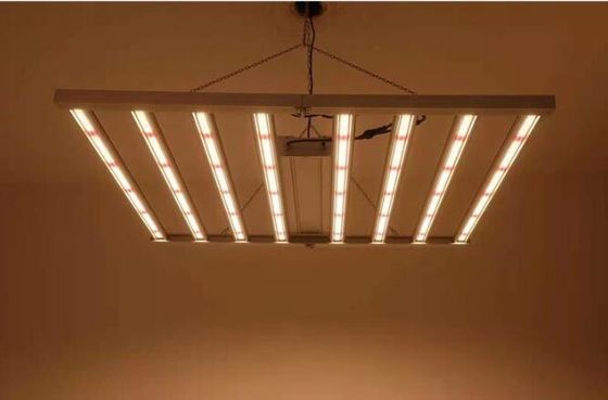 600W Indoor LED Grow Lights Iluminación de plantas LED IP65 Sambead 6 Bar CUL controlador